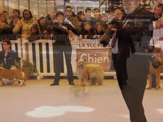 CGA Finale CACS Mâles