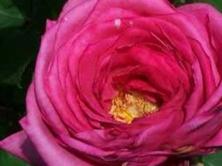 ***KENZA***+***VTS_01_4***MATOUB***