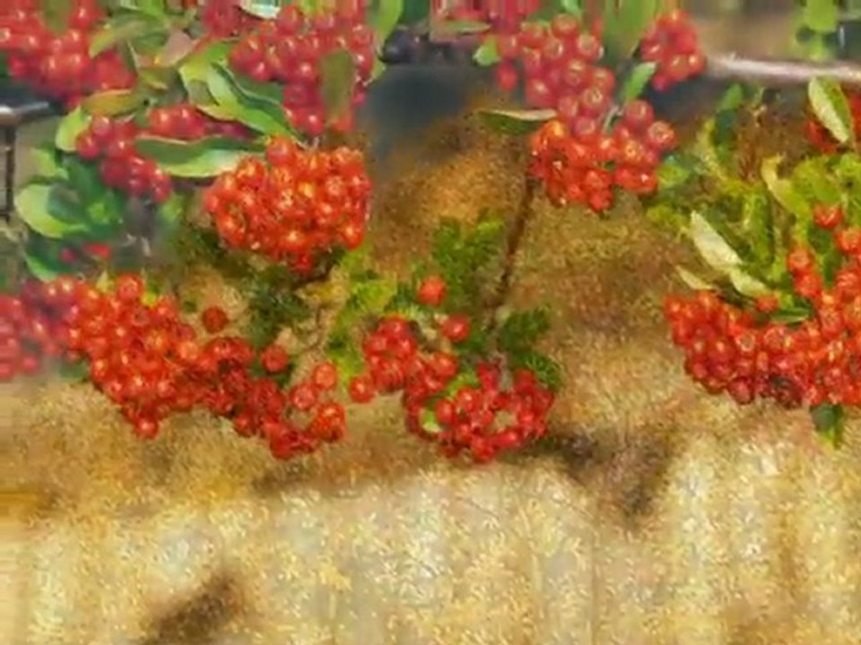 Les saisons