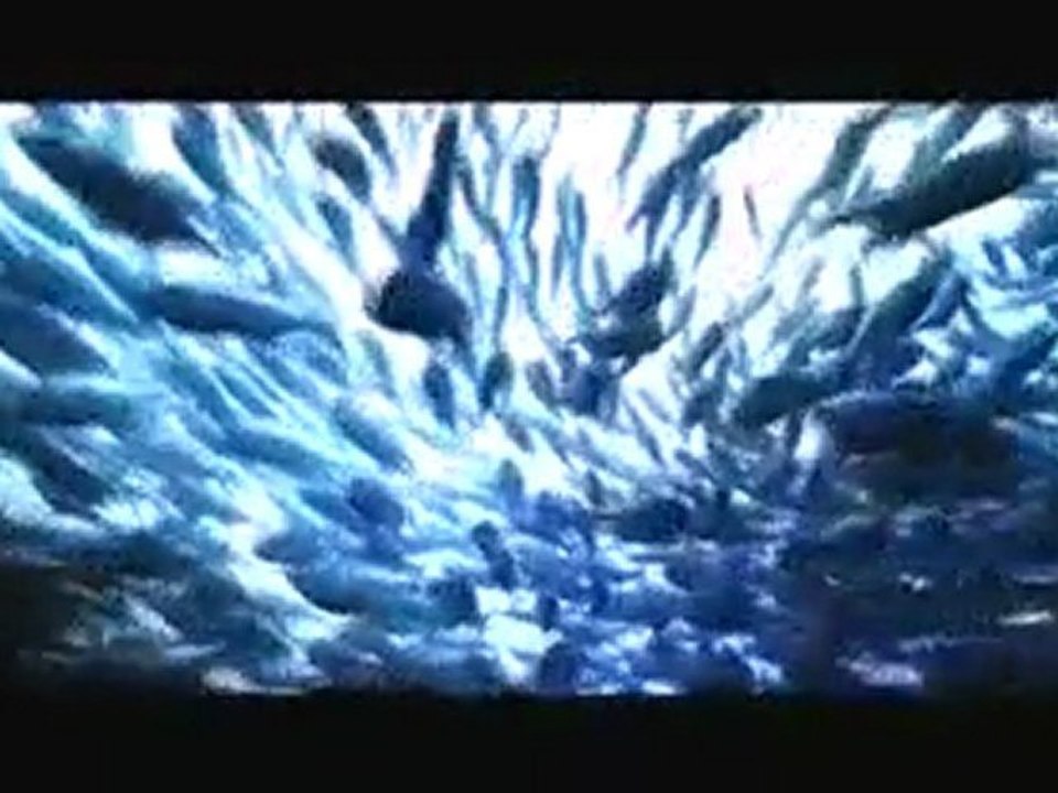 Make A Wave Official Music video-Disney's Friends For Change