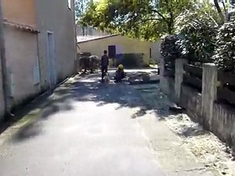 20100307 clara et nico skateboard lacanau