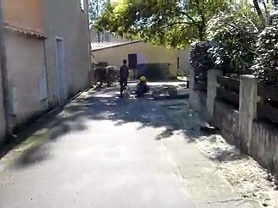 20100307 clara et nico skateboard lacanau