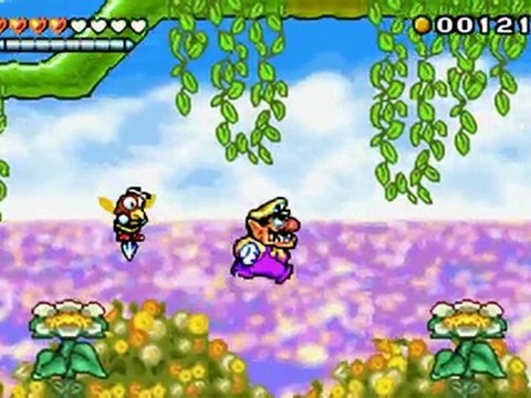 Walkthrough Wario Land 4 (18) : Wildflower Fields