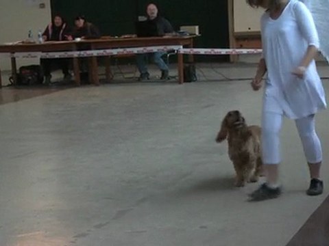 toupy girlenhirsch 2e passage