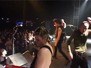 Tournée et album Les Sales Majestés 2010