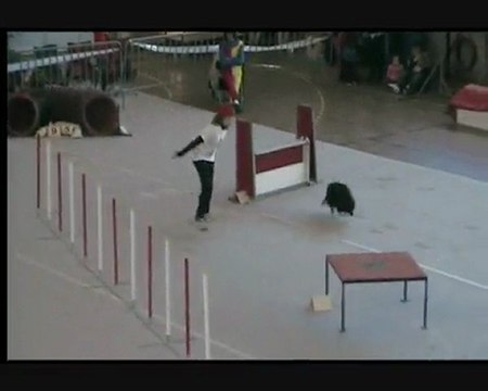 damparis 2010 dax et manon