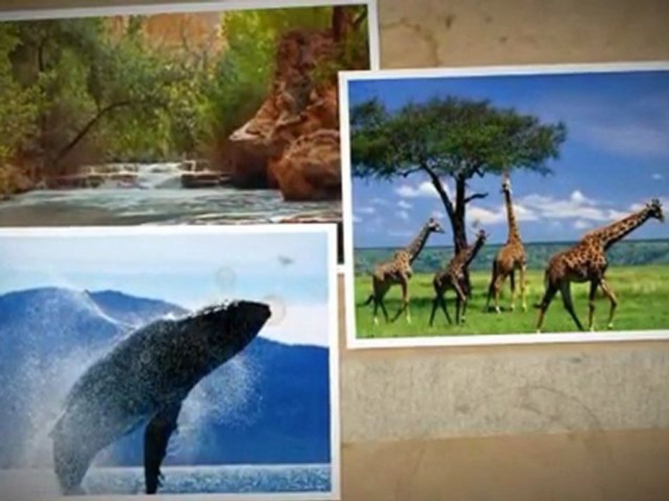 Testing video slideshows