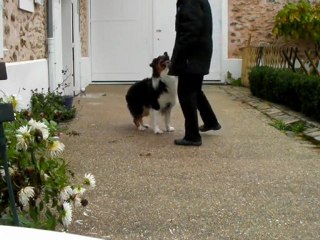 déplacement latéraux