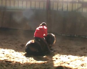 Zelda coucher montée