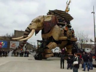 elephant de nantes vidéo