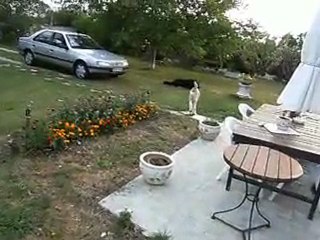 C'est quoi ce concours ?