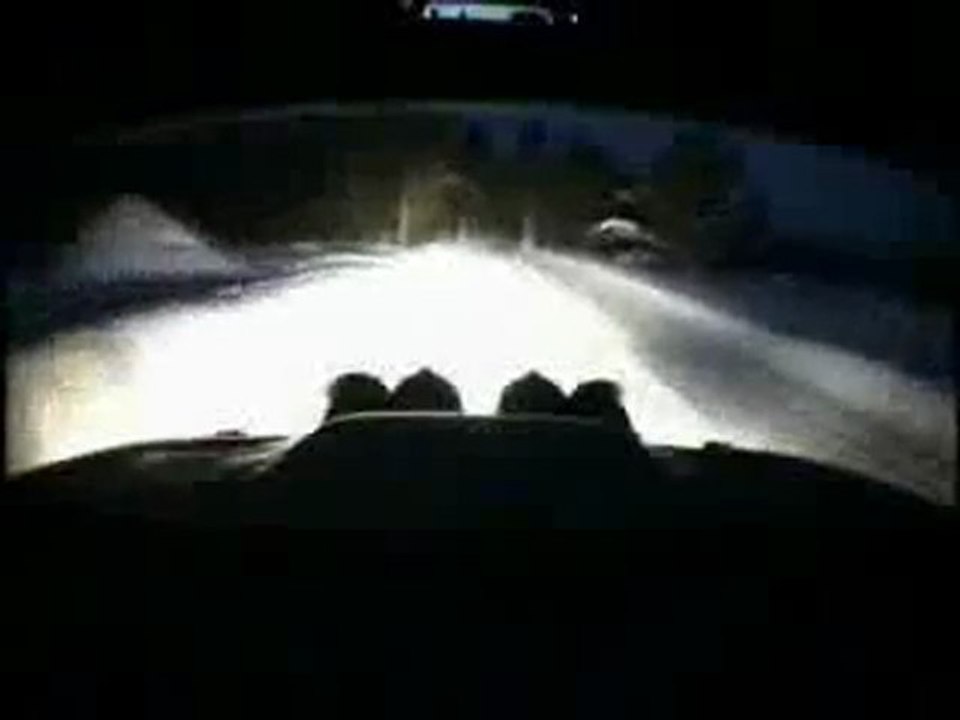 Crash animal
