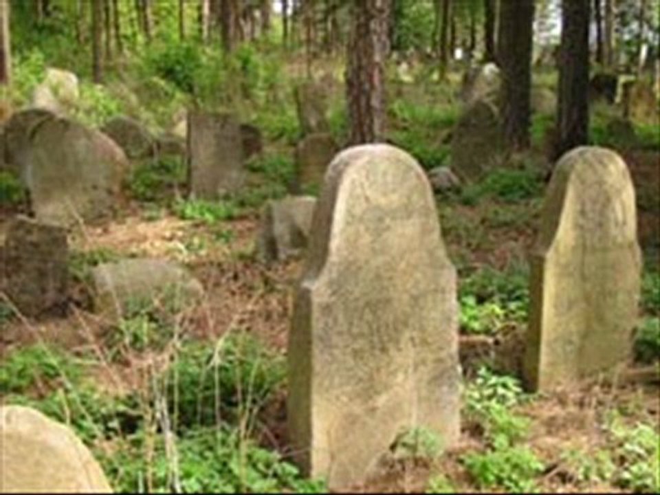 Islam en Pologne