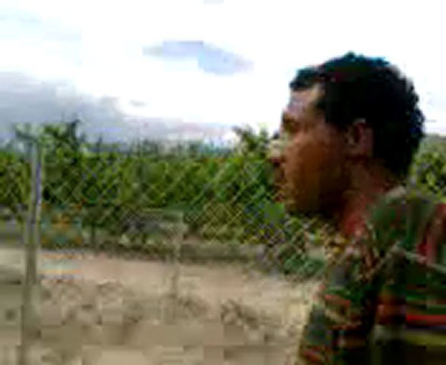 Elcouba lh