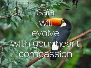 Experience the Global Shift Happening Now 🌍