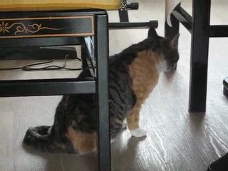 Elka 14 mars 2010 008