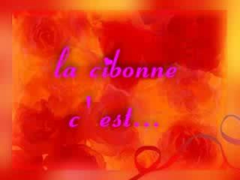 Cibonnos2