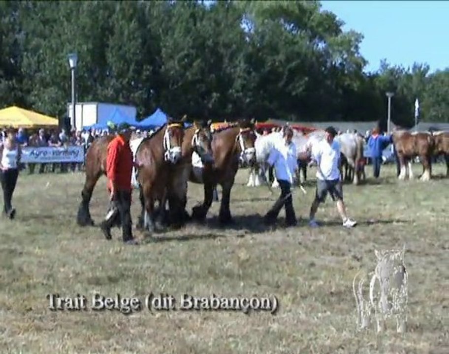 L'avis du  vétérinaire (interview de Jean-Pierre Renard)