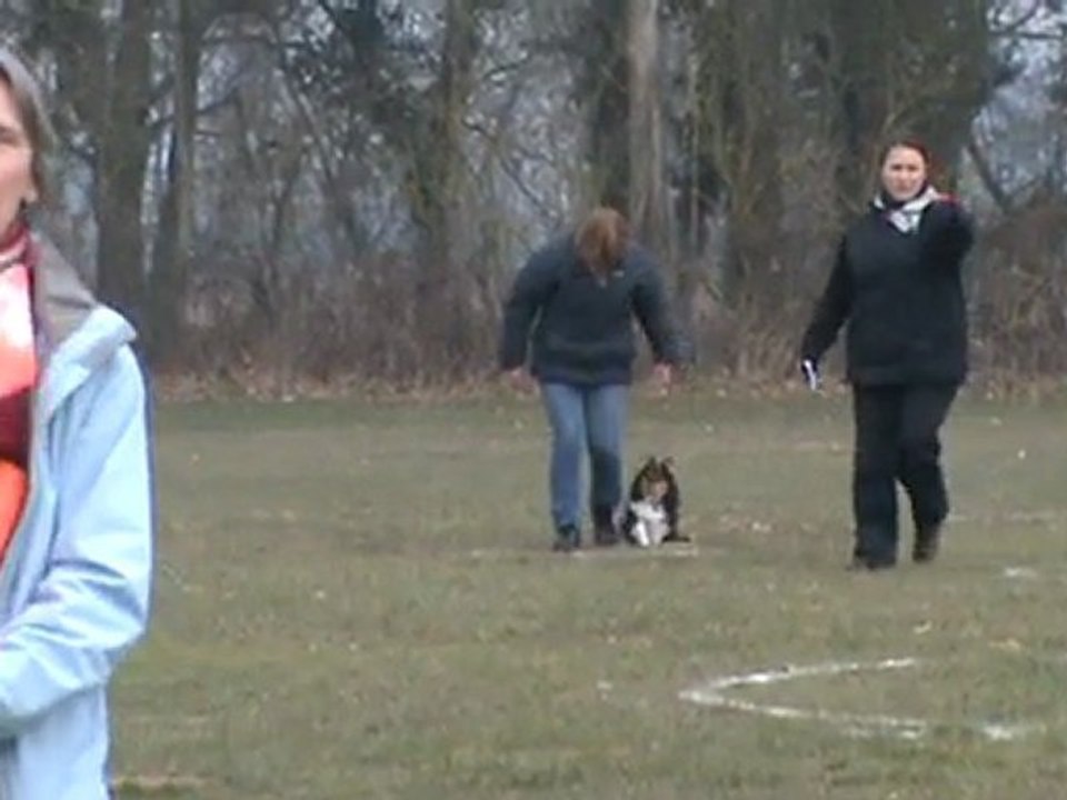 concours classe  1 Chiffer