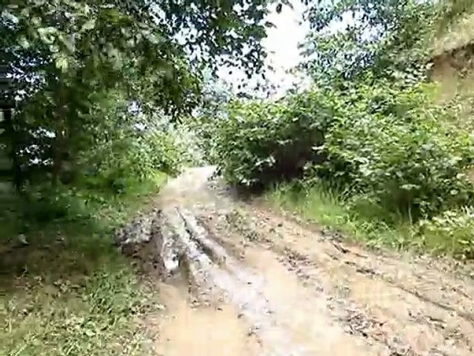 Yeşilde kısa bir yol ...