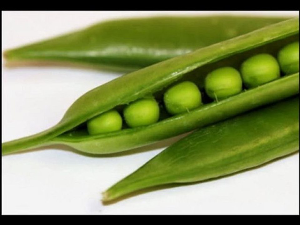 Esra DEMİR - Pınar YORGUN - Esra AŞKAROĞLU