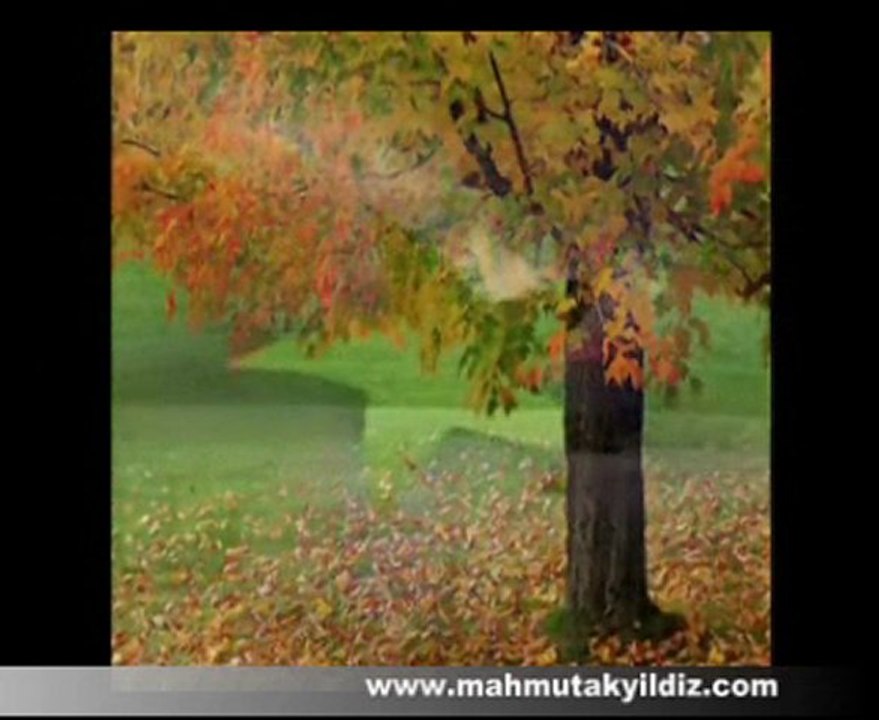 Dağ Tepesinde Bir Çam Olmasan - Op. Dr. Mahmut akyıldız