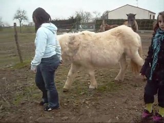 Praline, Topaze, Rose le 14 Mars 2010