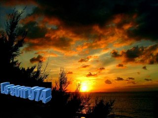 zanzibar...pou nou i fé nwar