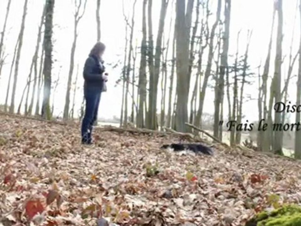 Disco " Fais le mort ! " Fin fevrier 2010