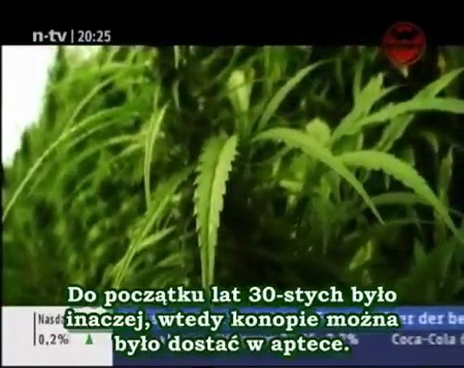 Konopia vs. Alkohol