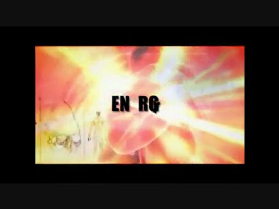 {AMEGA GLOBAL ~ AMWAND}~NOW 2010 IN USA and CANADA