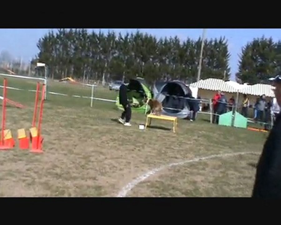 Concours Agility Alexandre & Vani Koro 7 Mars 2010 à Saintes