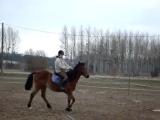 Départ au galop du pas