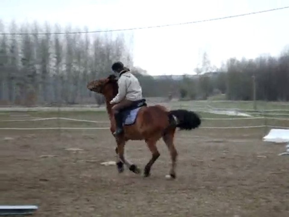 départ au galop du pas