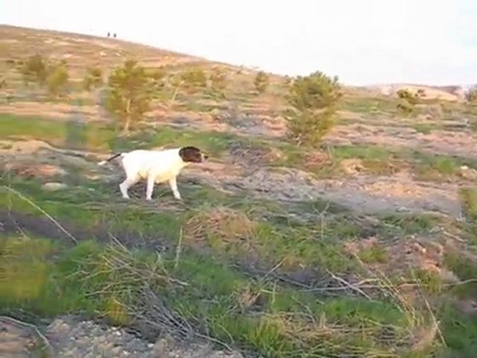 pointer naz keklik video