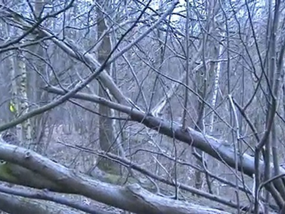 AIRSOFT AVEC LA LIGA93 LE 14:03:2010