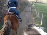 13 mars 2010 fifik au galop sur rubych & moi sur poney