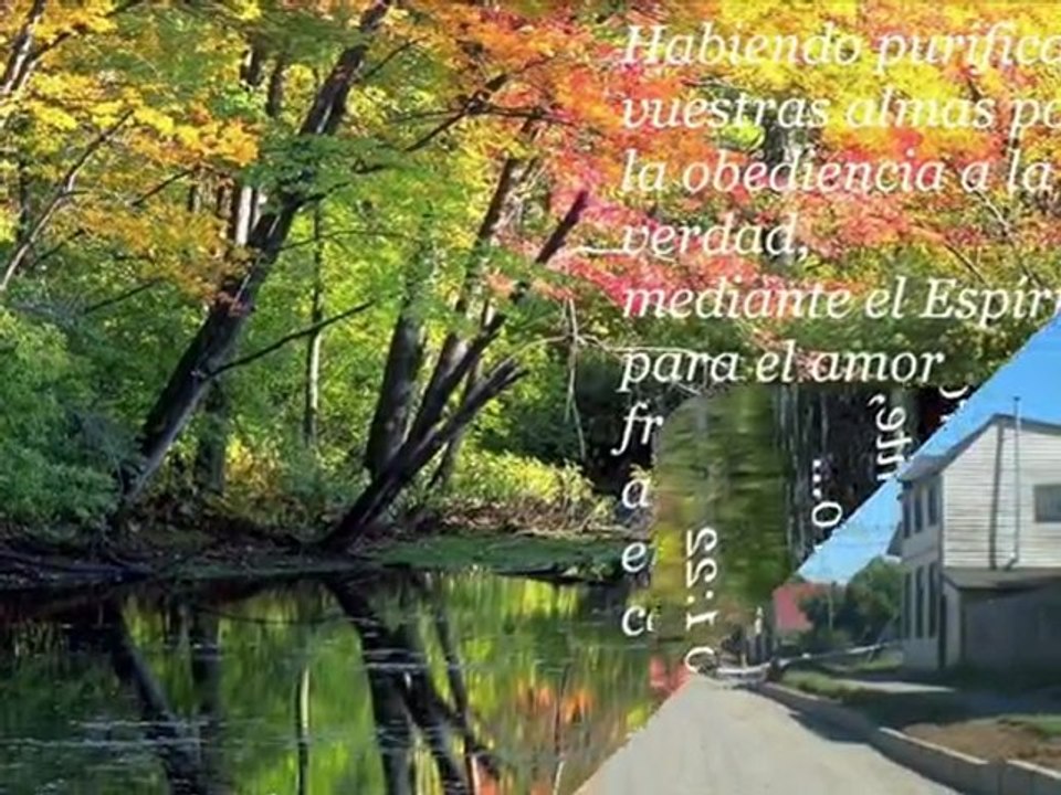 JONH MONTALBIAN(TE AMO) 8