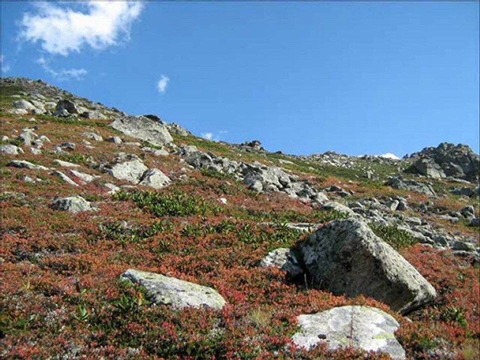 kaçkar-tulum mahmut turan-www.kavrun.tr.gg