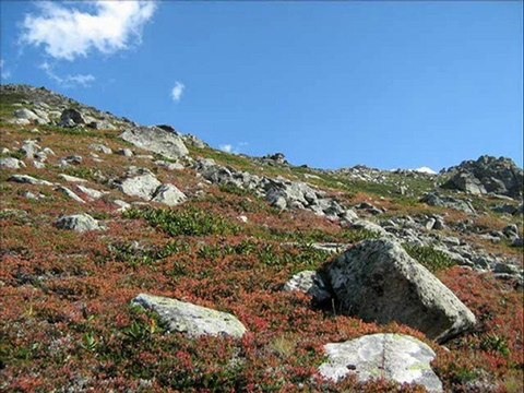 kaçkar-tulum mahmut turan- kavrun.tr.gg