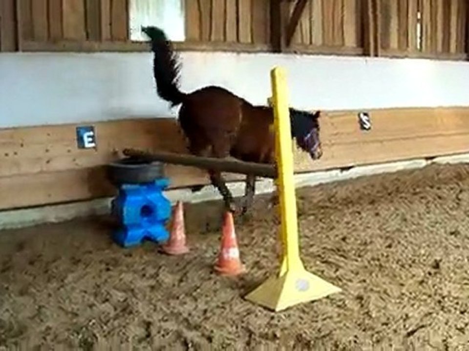 saut !