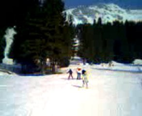 Mahaut à ski et Guillemette en snow