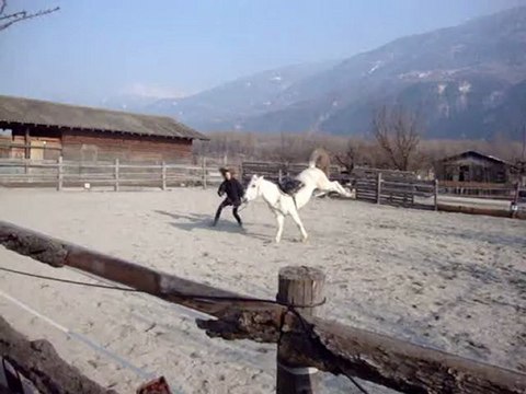 12 mars, des chevaux fous ^^