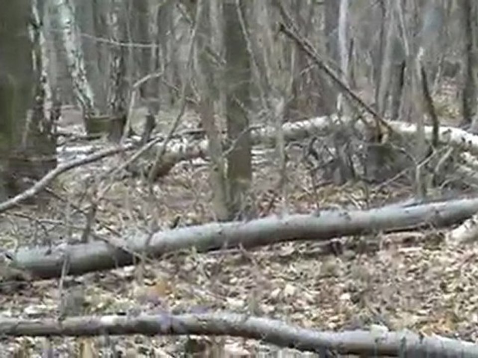 AIRSOFT AVEC LA LIGA93 LE 14:03:2010