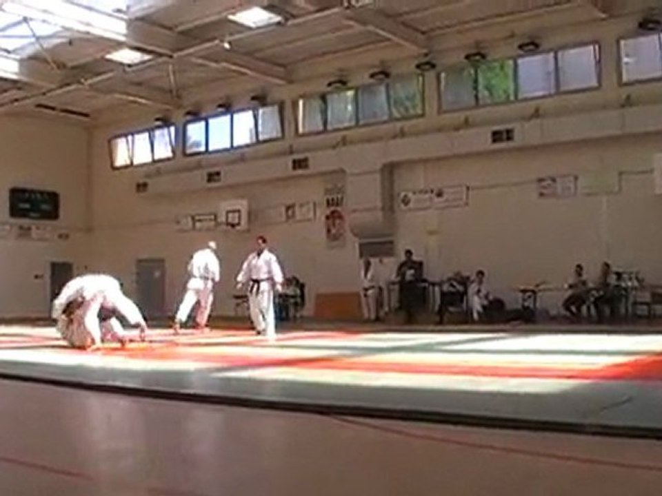 demojujitsu