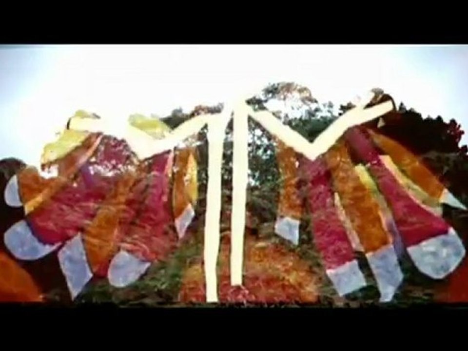 Sleepy Sun - White Dove