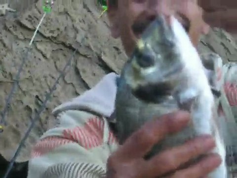 Hasan BALIKÇI balikcilar.org