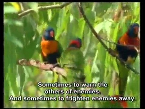 adnan oktar röportajı - Bilim ve Teknoloji Kanalı