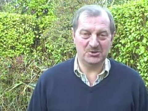 Multilevel Marketing Mlm Secrets Revealed