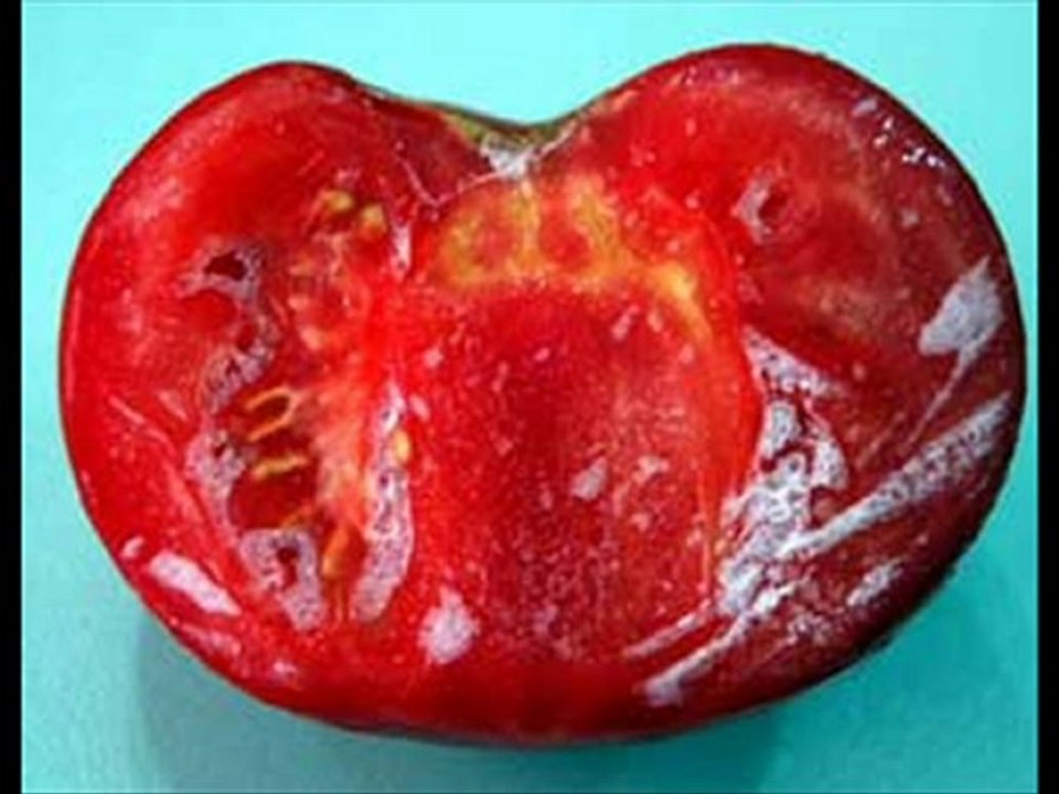 mehmet karakuş  dünya fani   [ALLAH İNANCI)